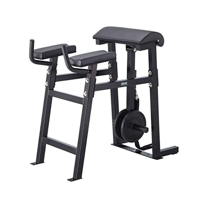 steelflex reverse hyper bench-ape series rh-1