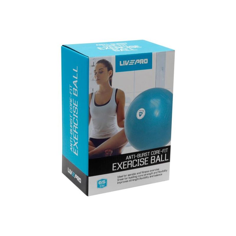 anti - burst core fit exercise ball 65centimeter (brand : livepro)