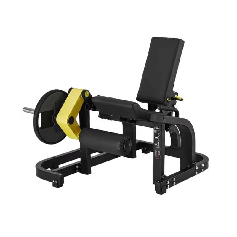 leg extension