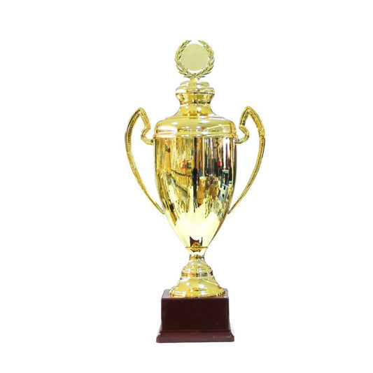 Sartor Italian Gold Trophy (237)