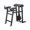 Steelflex Reverse Hyper Bench-Ape Series Rh-1