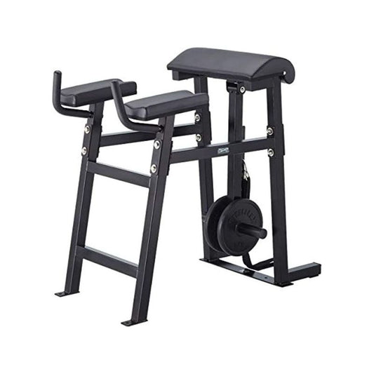 Steelflex Reverse Hyper Bench-Ape Series Rh-1