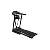 Ta Sport Foldable Treadmill with Massager 2.0Hp with Lcd Monitor