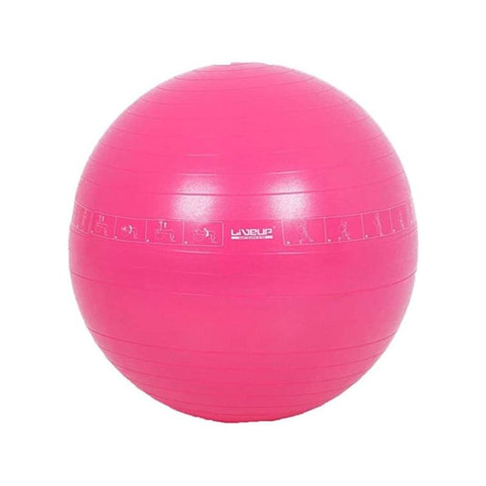 Mesuca Yoga Ball 65Cm Mbd21311 Pink