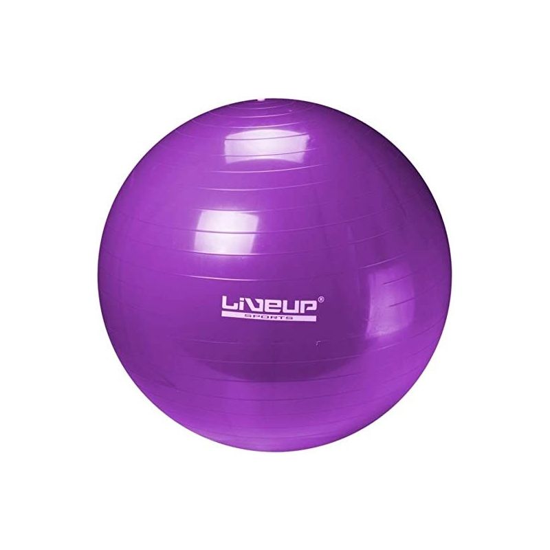 anti burst gym ball ls3222 75cm
