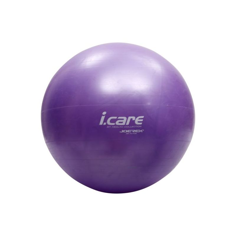 i care gym ball 65cm (brand : mesuca)
