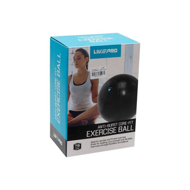 anti burst gym ball 75centimeter (brand : livepro)