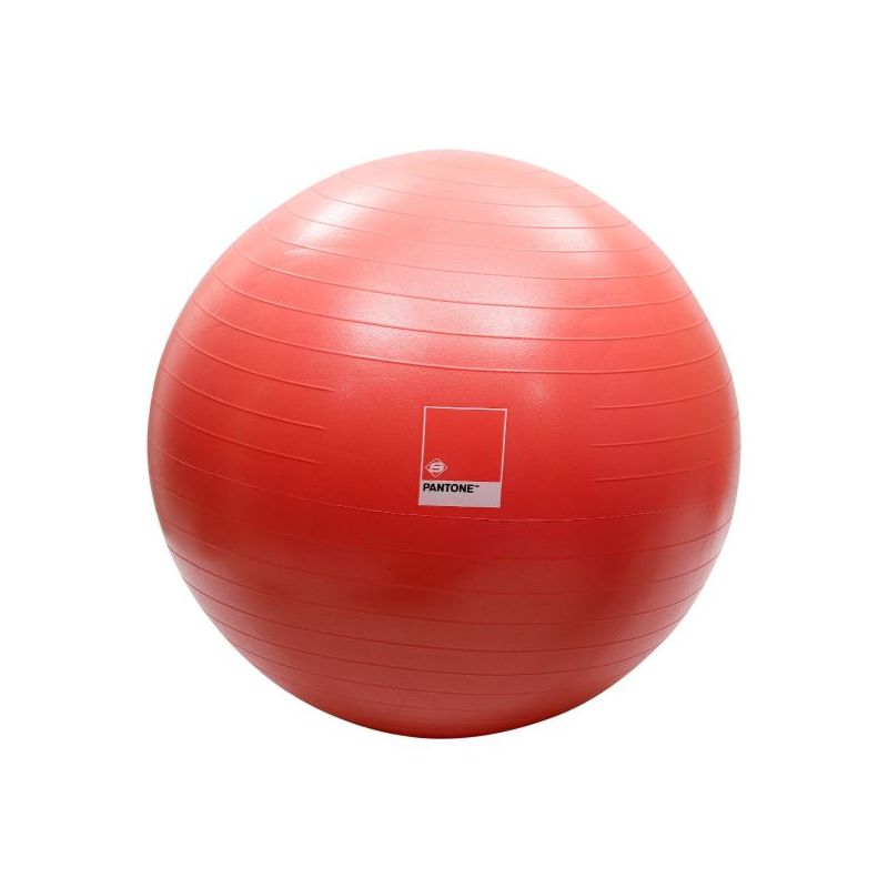pantone  gym ball set (anti-burst) living coral spk8884