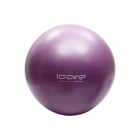 Gym Ball (Brand : Mesuca)