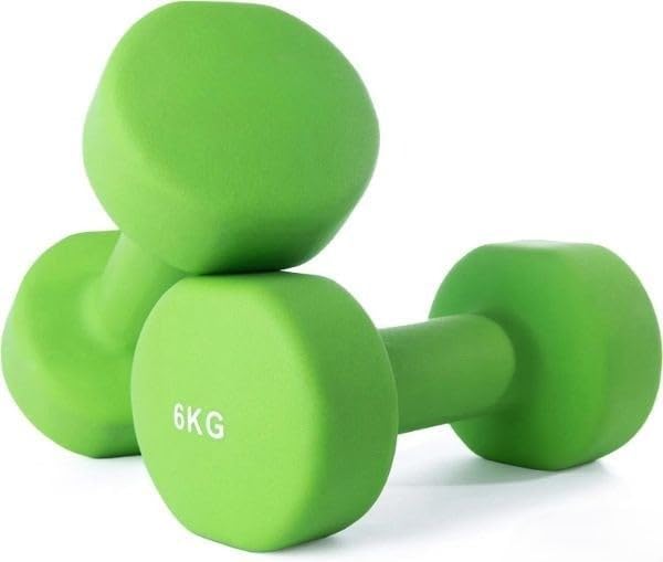 neoprene dumbbell 6 kg hand weights (1 pair)