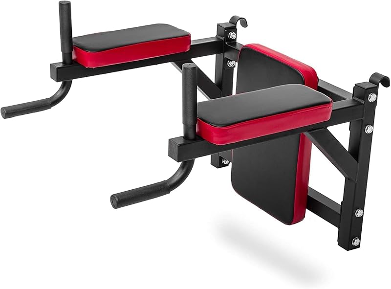 wall bars with pull-up bar, dip station, adjustable incline bench