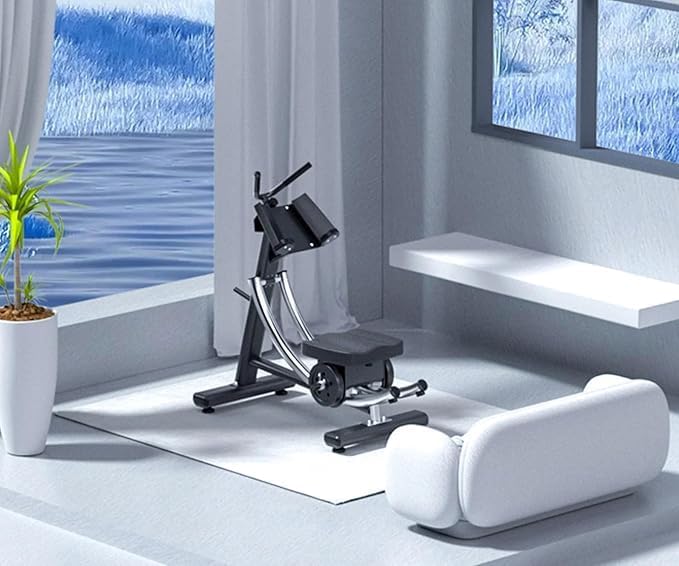 Commercial Abdominal Trainer Coaster