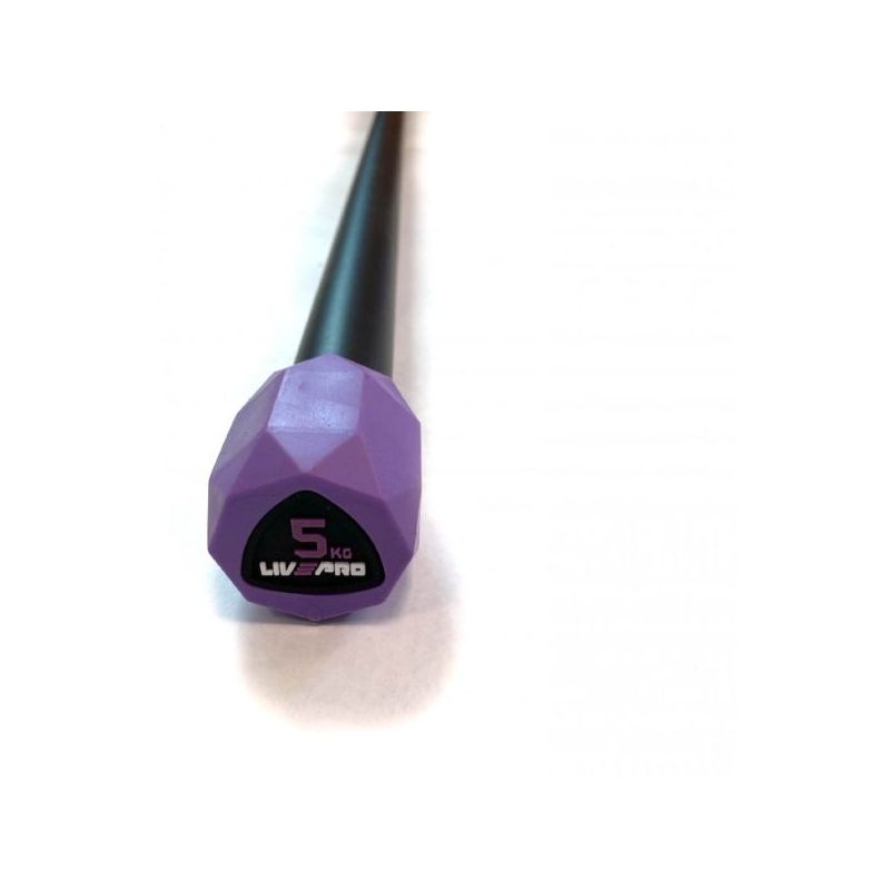 weighted body bar (brand : livepro)