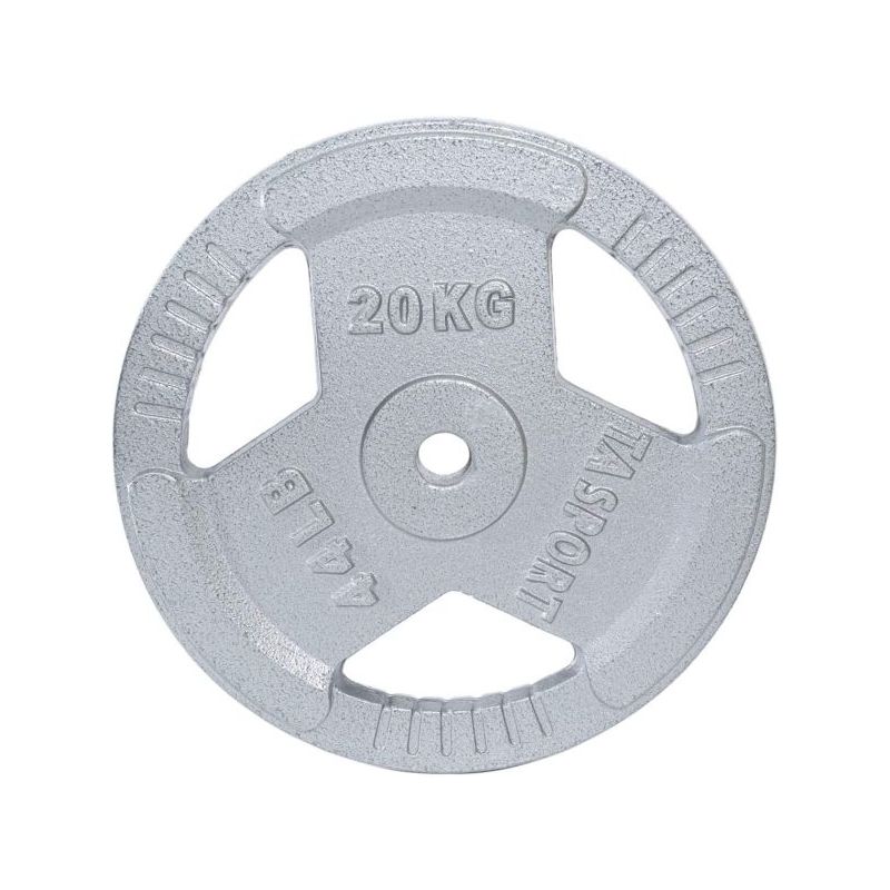 paint plates 20kg 3 holes with handle syp20 grey