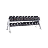 Steelflex Neo Dumbbell Rack 2 Tier 73kg
