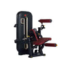 Seated Leg Curl