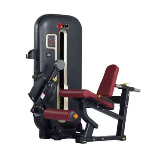 Leg Extension