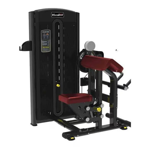 Bicep / Triceps Machine
