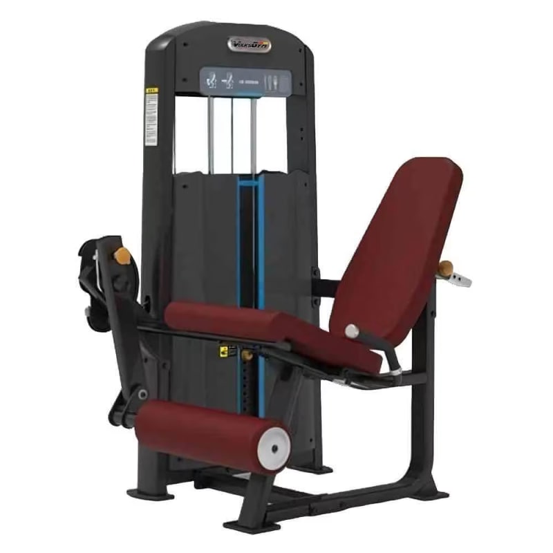 leg extension