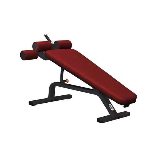 AB Curl Bench
