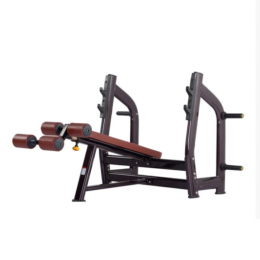 Decline Bench S6-024