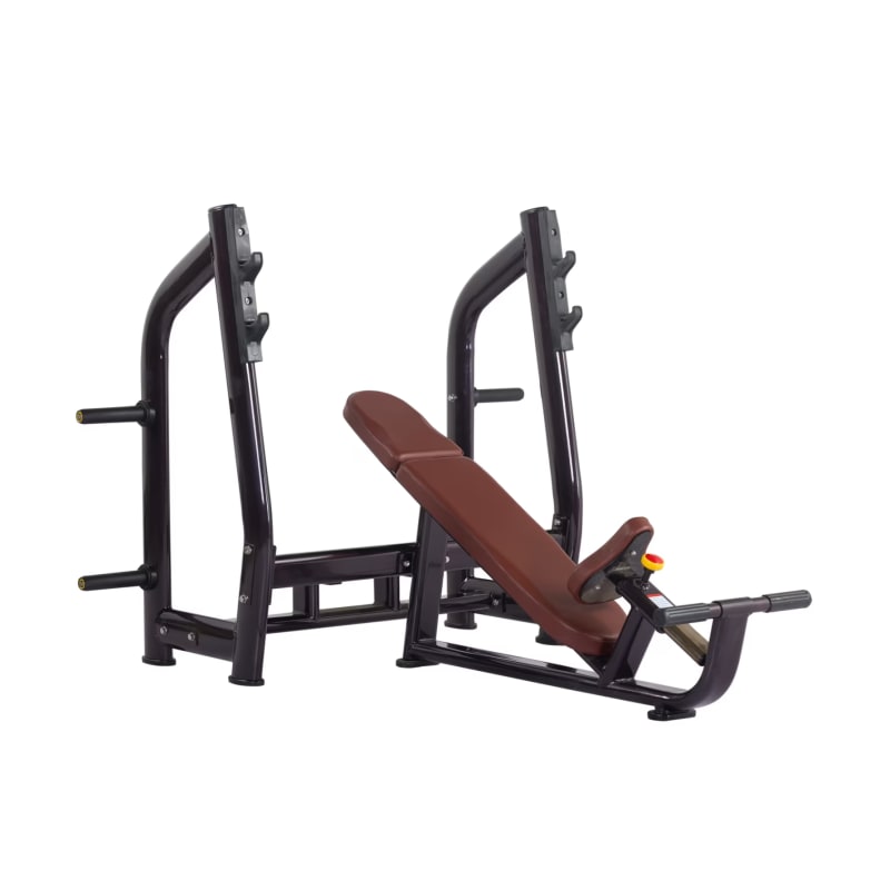 Incline Bench Luxury VG Prof S6-025