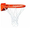 Joerex Basketball Ring with Net