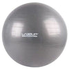 Liveup Anti Burst Gym Ball Ls3222 65Cm