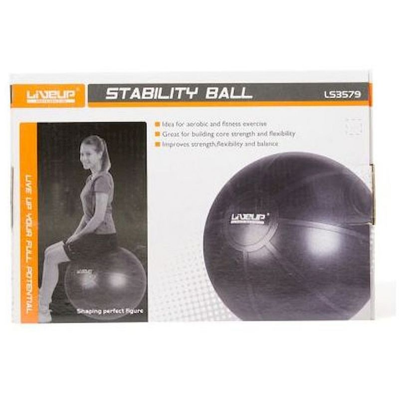 stability ball with pump 65cm ls3579
