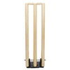 Karson Ta Sport Cricket Stumps